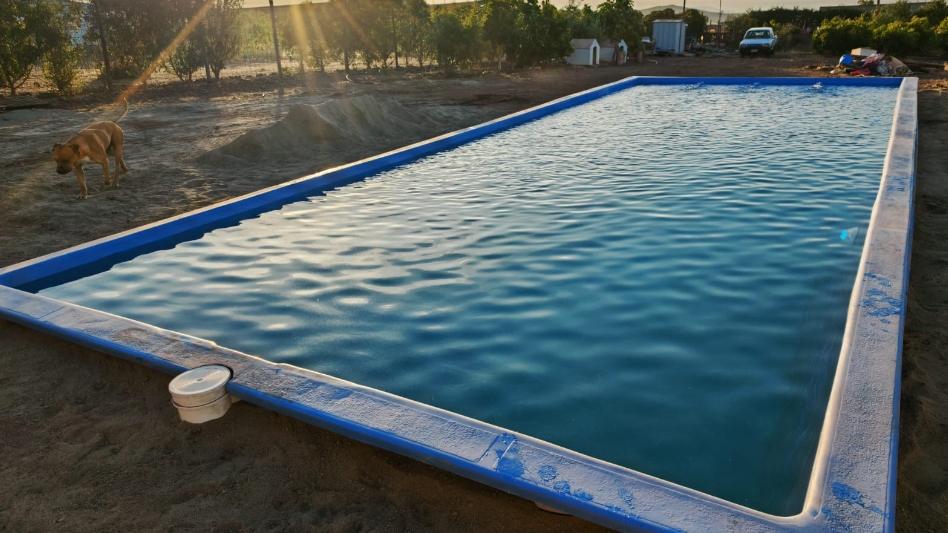 captura de pantalla 2026 03 13 212012